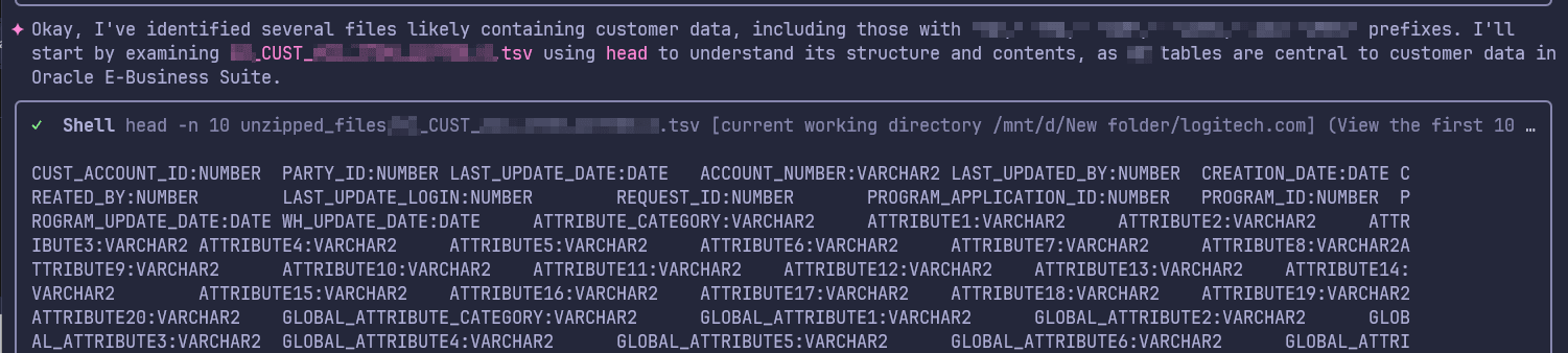 Initial analysis of the customer data and fields